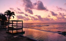 Senses Riviera Maya - Ocean Front Boutique Hotel - Adults Only